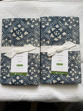 Pottery Barn Luca Standard shams